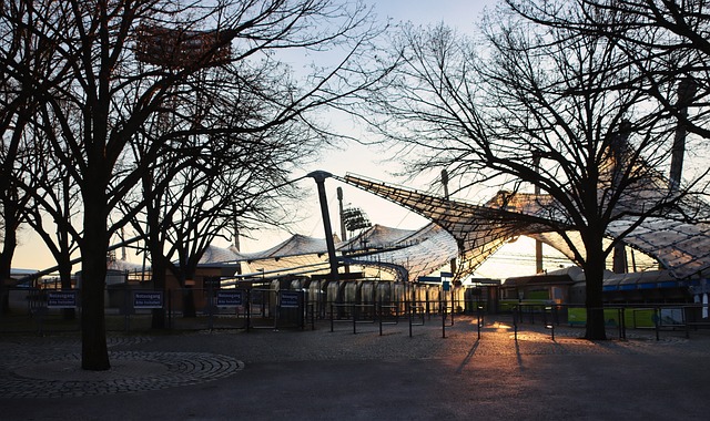 出了更多文 出了更多文