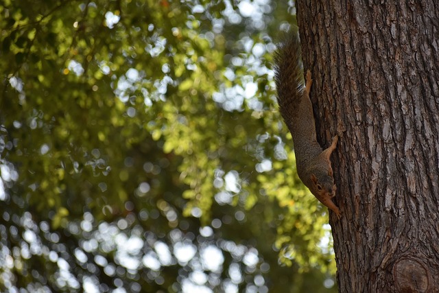 个成功团队 个成功团队