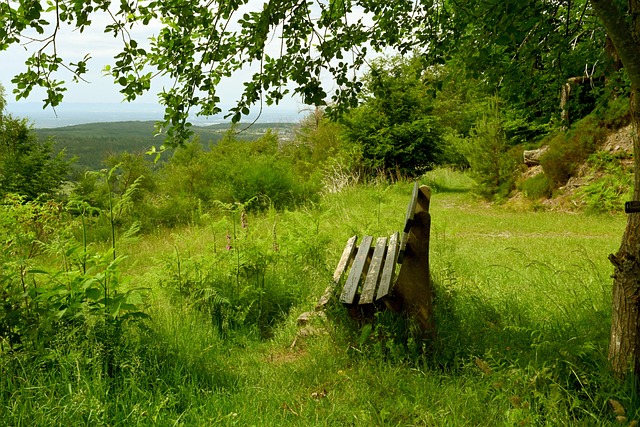 终是取得胜 终是取得胜