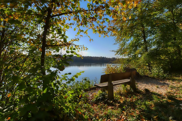 样的环境中 样的环境中