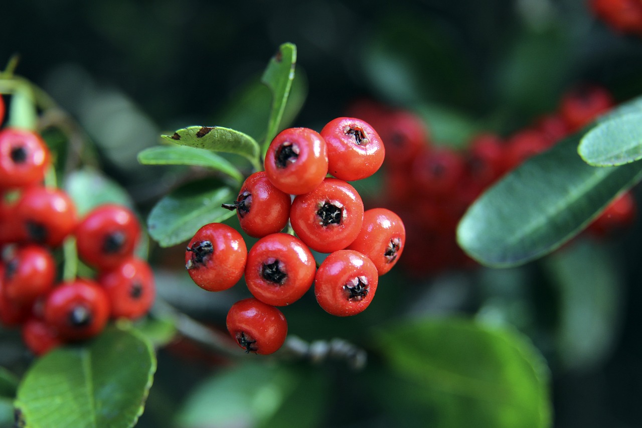 球队蛰伏积 球队蛰伏积